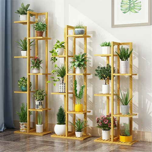 High strength bamboo plant - strength,