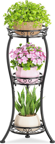 Tier tall plant - tall, indoor
