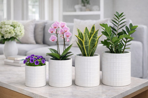 Ceramic plant pots raised - ceramic,