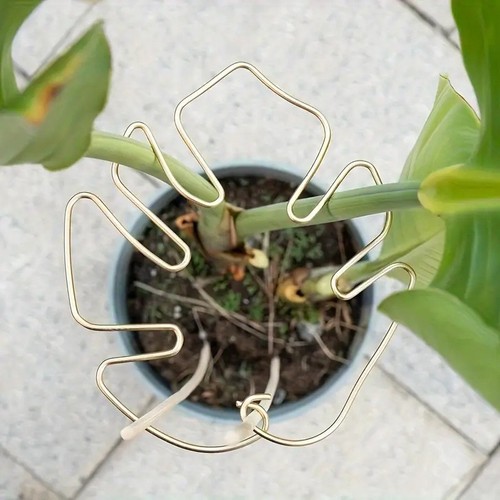 Large hanging plant - stand, iron