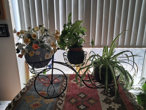Pots flower metal plant - 3,
