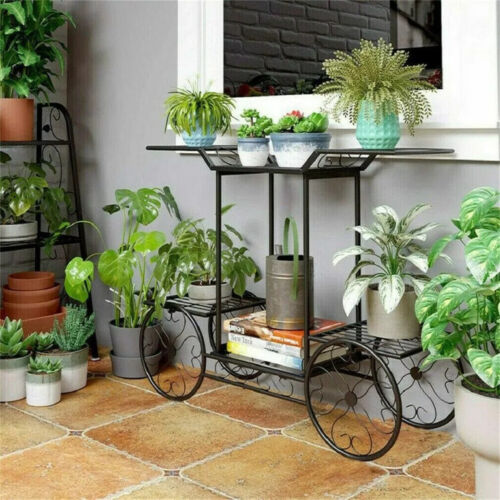 Tier metal plant - plant, stand