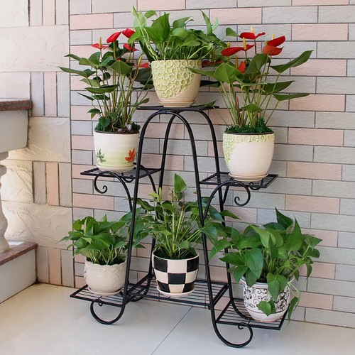 Indoor outdoor plant - indoor,