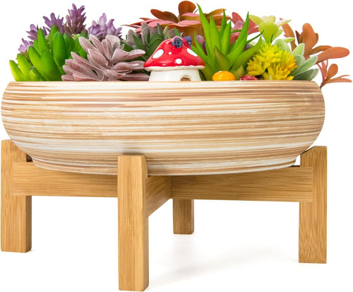 Succulent plant pots 25 - succulent,