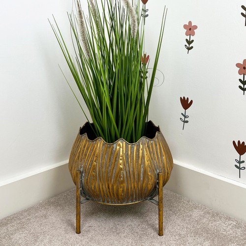 Indoor plant pot - plant, on