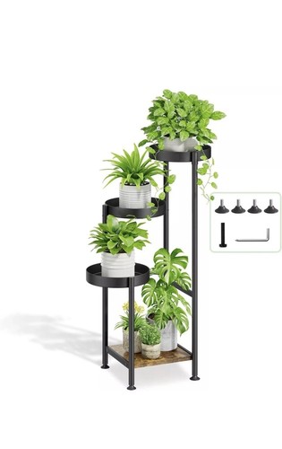 Kazitoo tier tall - tall, plant