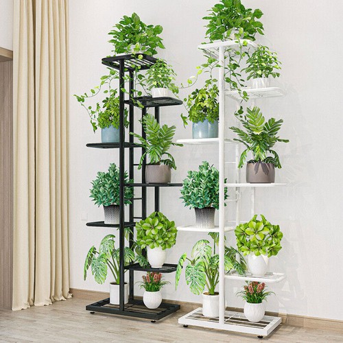 Tier metal plant - plant, stand