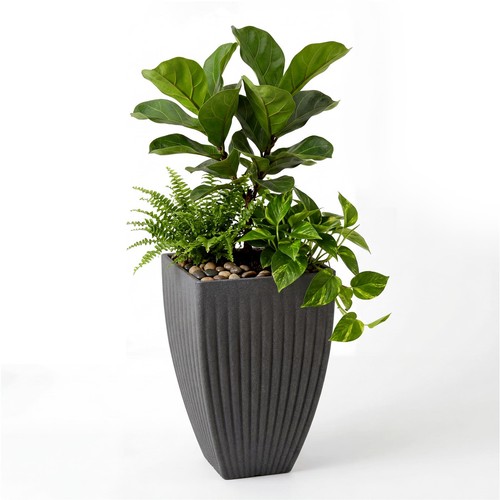 Tall square flower - flower, pot
