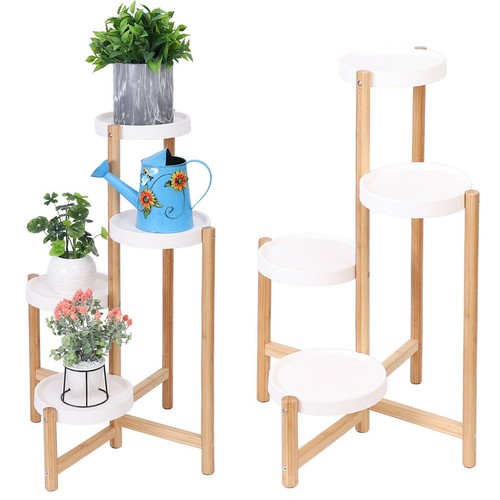 Elegant potted tray plant - elegant, 4