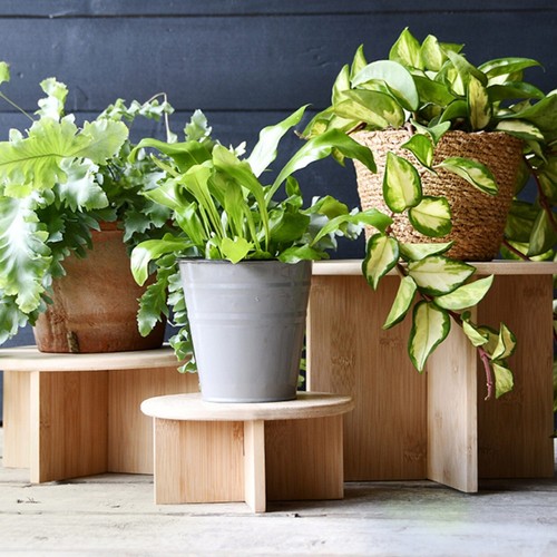 Wooden plant pot stands - stands, fsc